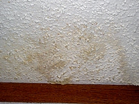 Water stain from roof leak on acoustic textured ceiling.