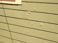 Blistering paint on exterior wood lap siding.