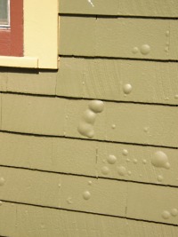 Close-up view of blistering paint on wood siding.