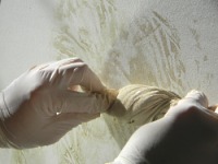 Applying the glaze-paint mix manually using rag rolling.